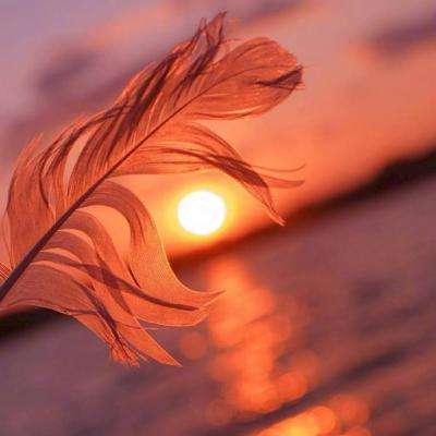 澳客APP下载官网app下载